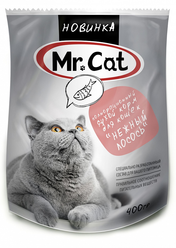 Где можно купить корм для кошек. Корм сухой Mr.Cat. Корм Мистер Кэт. МР.Кэт корм для кошек. Корм для кошек Mr Cat 10 кг.